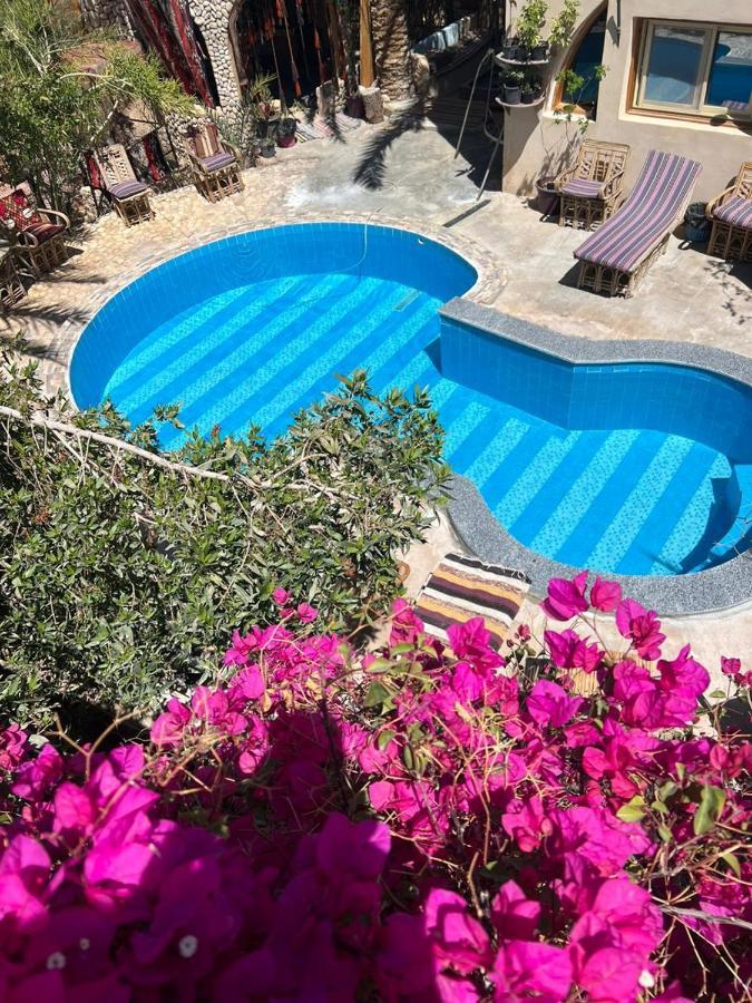 Dream Lodge Siwa Siwa Oasis Exterior foto